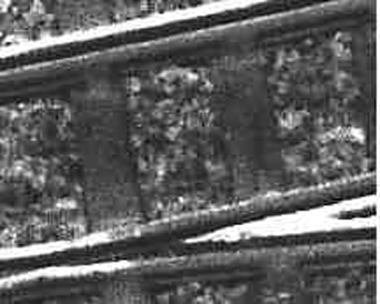 photo of crossing nose